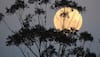 'Supermoon' brightens up skies for stargazers, Delhi misses the thrill