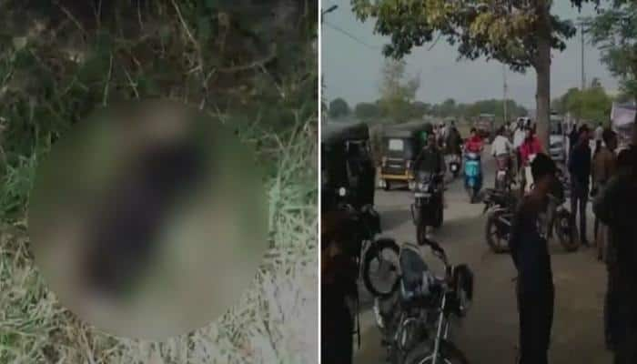 Dog seen carrying newborn&#039;s body outside hospital in Madhya Pradesh