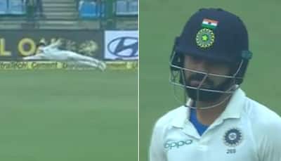 India vs Sri Lanka, 3rd Test: Flying Sadeera Samarawickrama impresses Virat Kohli, Delhi crowd – Watch