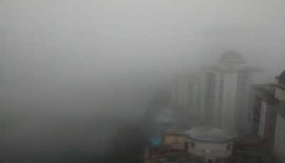 Fog or Smog? Twitter debates why Mumbai turned into Delhi
