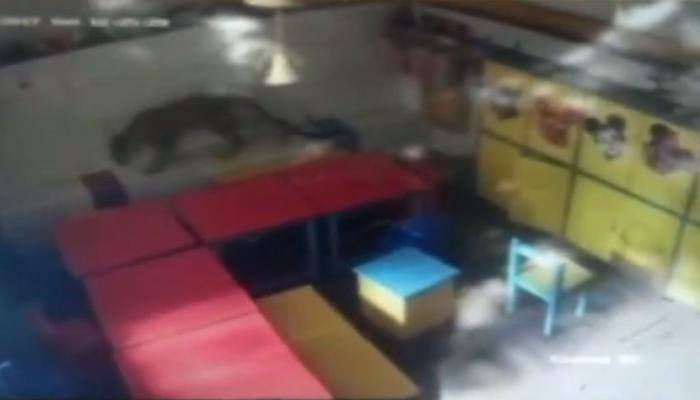 WATCH: Leopard enters play school in Mumbai&#039;s Andheri