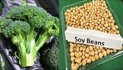 Soy, broccoli may cut breast cancer treatment's side effects