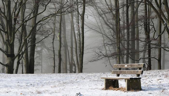 Snowfall, rains add to chill across Uttarakhand Snowfall, rains add to chill across Uttarakhand