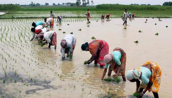 Four new FIRs lodged in Maharashtra's Rs 72,000 cr irrigation 'scam'