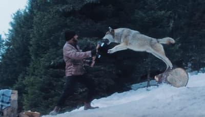 Tiger Zinda Hai promo: Salman Khan fights a pack of ferocious wolves—Watch