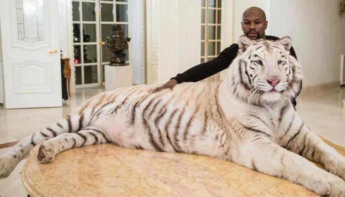 Boxing: Floyd Mayweather Jr. has a new buddy in Chechen dictator Ramzan Kadyrov