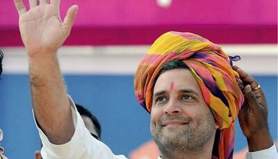 Rahul era dawns on Congress, Sonia to take back seat