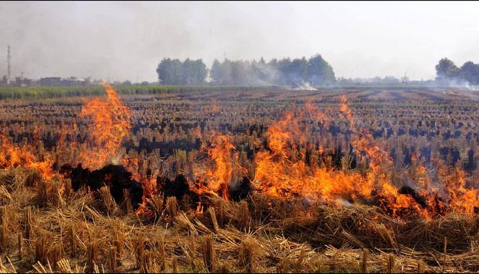 Australia extends a helping hand, offers technological aid to prevent crop burning