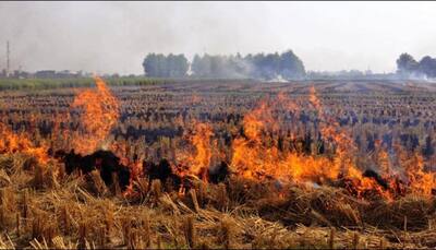 Australia extends a helping hand, offers technological aid to prevent crop burning