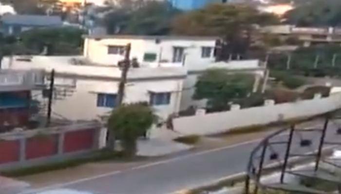 WATCH: Leopard creates ruckus, enters house in Dehradun