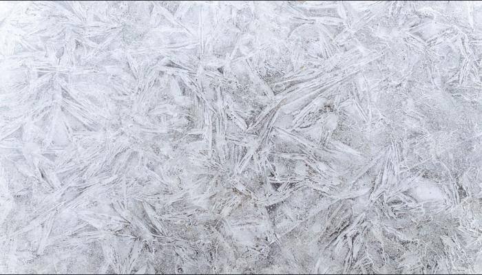 Scientists discover living bacteria in polar ice for the first time
