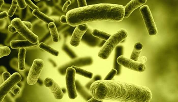 This is what antibiotic resistant bacteria are