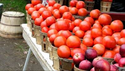 Eating tomatoes, apples may restore lung damage in smokers