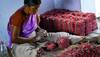 Firecracker units in Tamil Nadu's Sivakasi down shutters, citing uncertain future