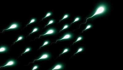 Scientists exploit swimming power of sperm to help combat cervical cancer