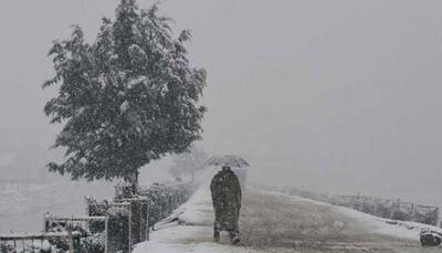 Cold wave intensifies in Jammu and Kashmir; Ladakh, Kargil, Leh record minus temperatures