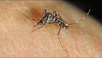 Decline in number of dengue cases at year end: Report
