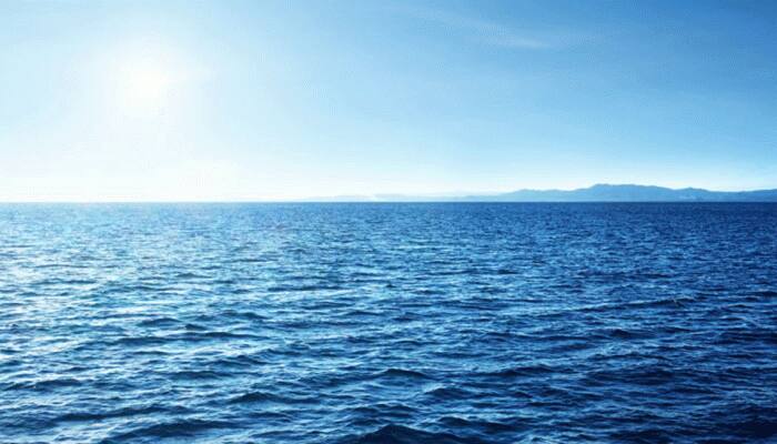 Dubai joins global initiative to protect world's oceans