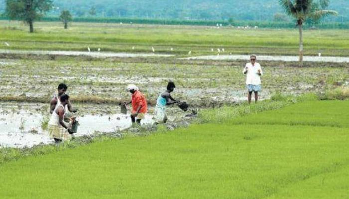 3,515 Karnataka farmers committed suicide in five years