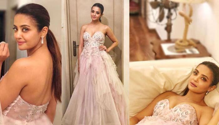 Surveen Chawla got married in 2015, kept it a 'surprise' for personal reasons—Deets inside