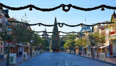 The ride stops here! Disneyland apologises for power outage
