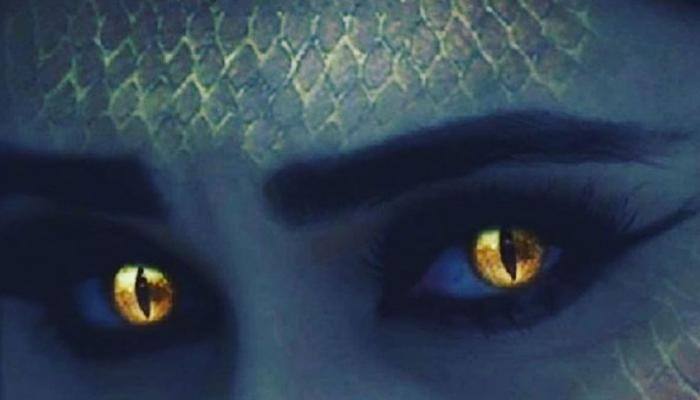 Naagin 3: If not Anita Hassanandani, who will play icchadhari snake woman?
