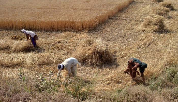 Dozen farmers injured in clash in UP's Banda, 8 arrested