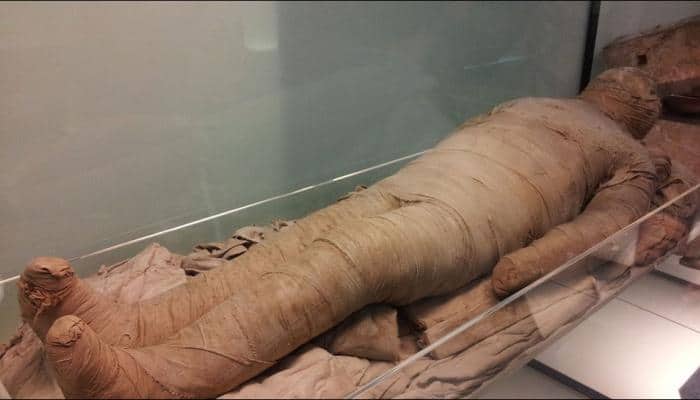 New technique reveals 2,000-year-old writings in mummy cases