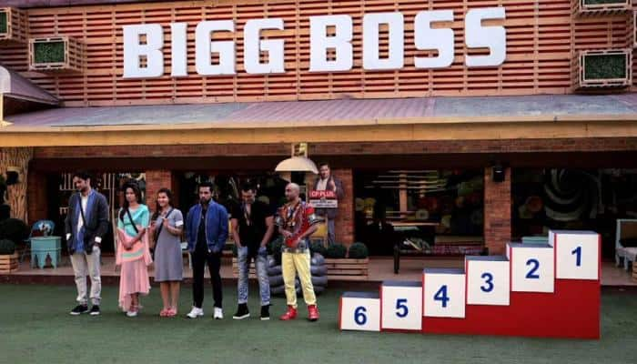 Bigg Boss 11:  Akash Dadlani and Puneesh Sharma may have made it to the finale