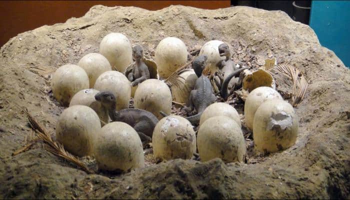 Thirty 130 million-year-old fossilized dinosaur eggs from Jurassic period discovered in China