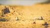 Global warming targeting 2 degree Celsius may make the world drier: Scientists