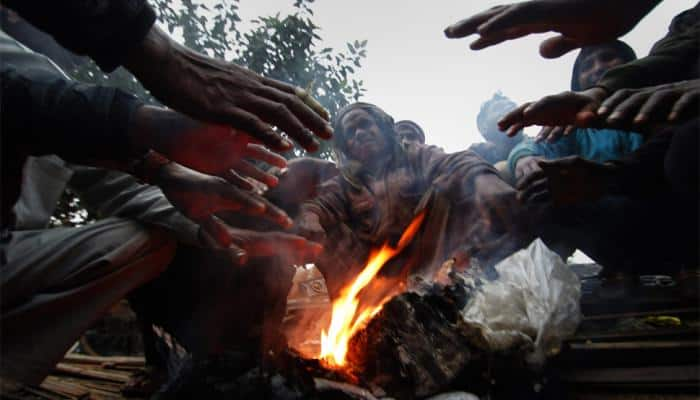 Cold winds sweep Rajasthan, mercury dips to minus 1.4 in Mount Abu