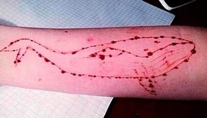 No evidence to prove deaths due to Blue Whale Challenge: Government