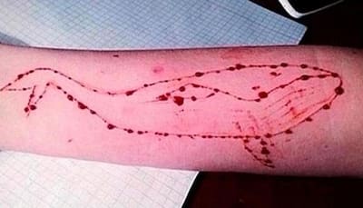 No evidence to prove deaths due to Blue Whale Challenge: Government