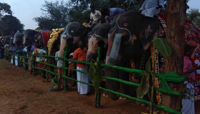 Tamil Nadu: 48-day annual rejuvenation camp for temple elephants begins 