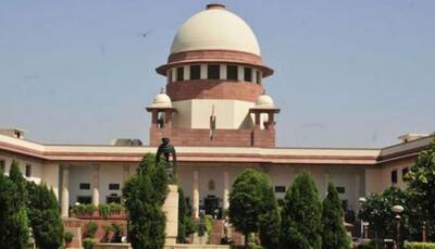 Courts shouldn't assume the role of 'super guardian': Supreme Court