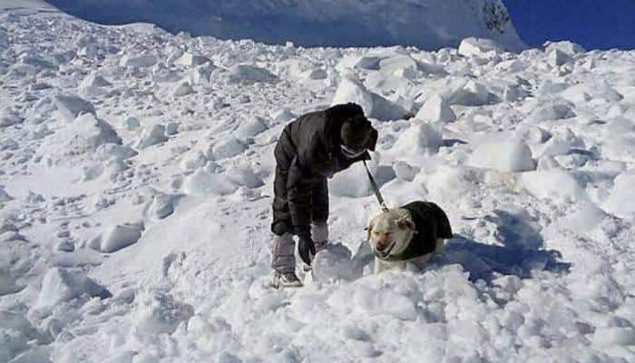 Kashmir: 5 bodies recovered from avalanche site in Kupwara; rescue operation on 