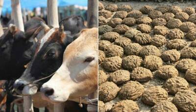 Indian Railways need to buy 3,350 truckloads of cow dung for Rs 42 cr in 2018 - Here's why
