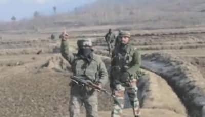 Two terrorists gunned down, hunt for possible third underway in J&K's Anantnag