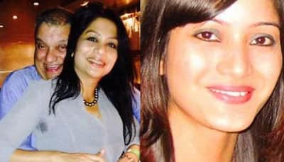 Sheena Bora murder: Indrani called Peter from spot where body was dumped, says driver