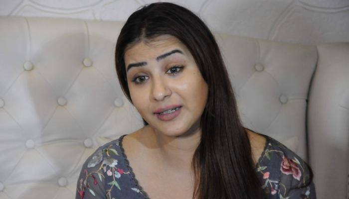 Not just cooking in 'Bigg Boss 11': Shilpa Shinde