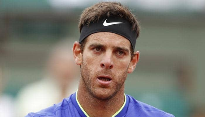 Juan Del Potro sets up Auckland Classic semi-final with David Ferrer