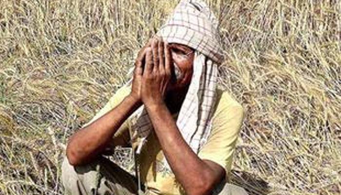 Govt not responsible if farmers suffer crop loss, says BJP MP from Satna