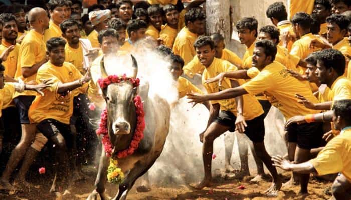 Now Aadhaar mandatory for Jallikattu in Madurai