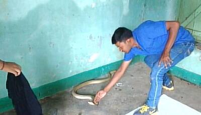This Odisha man rescued over 5,000 snakes - See pics