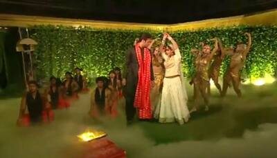 Bigg Boss 11: Vikas Gupta - Shilpa Shinde’s Naagin-Sapera dance performance is adorable – Watch