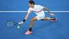 Australian Open: Roger Federer and Novak Djokovic take control in Melbourne