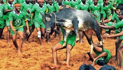 Three spectators attacked, killed by bulls during Jallikattu in Tamil Nadu