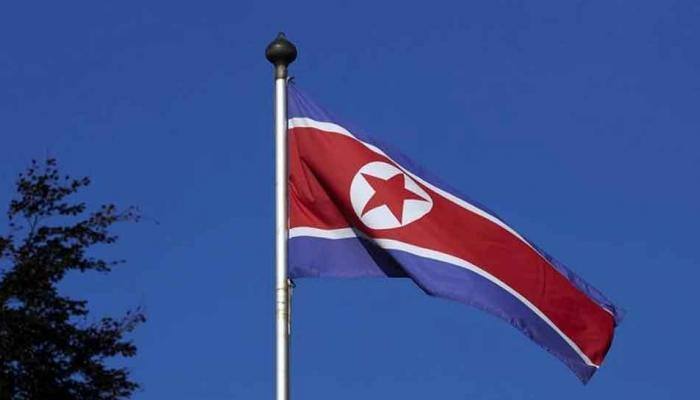 Koreas to march under unified flag at Winter Olympics
