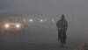 Delhi-Haryana reels under cold wave, trains services affected